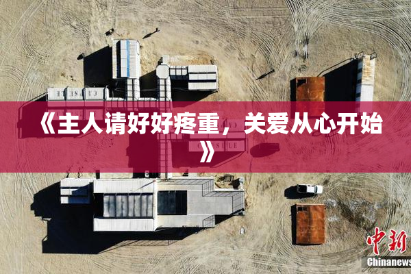 《主人请好好疼重，关爱从心开始》