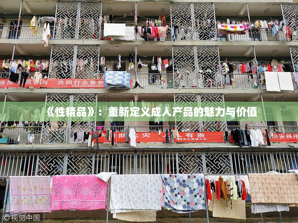《性精品》：重新定义成人产品的魅力与价值