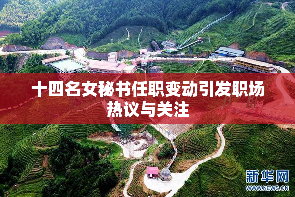 十四名女秘书任职变动引发职场热议与关注