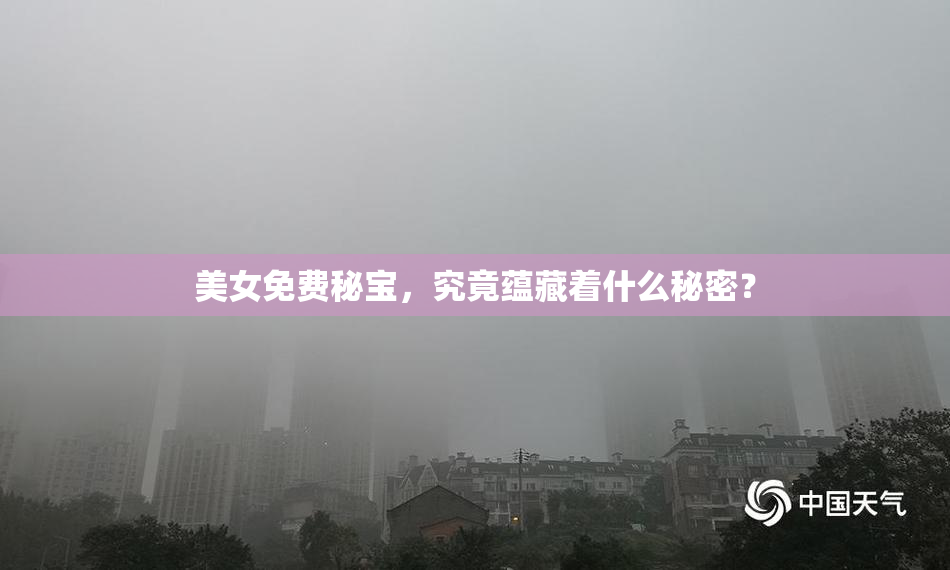 美女免费秘宝，究竟蕴藏着什么秘密？