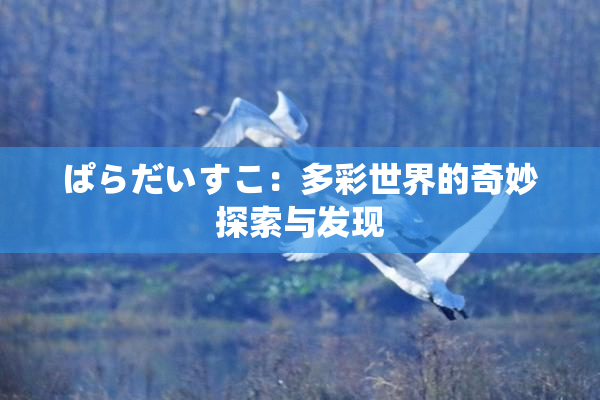 ぱらだいすこ：多彩世界的奇妙探索与发现