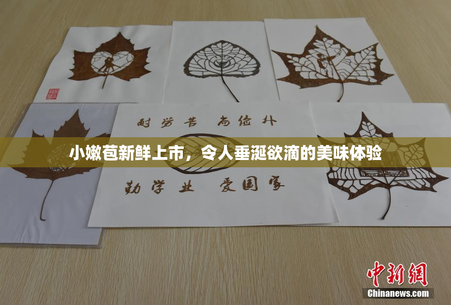 小嫩苞新鲜上市，令人垂涎欲滴的美味体验