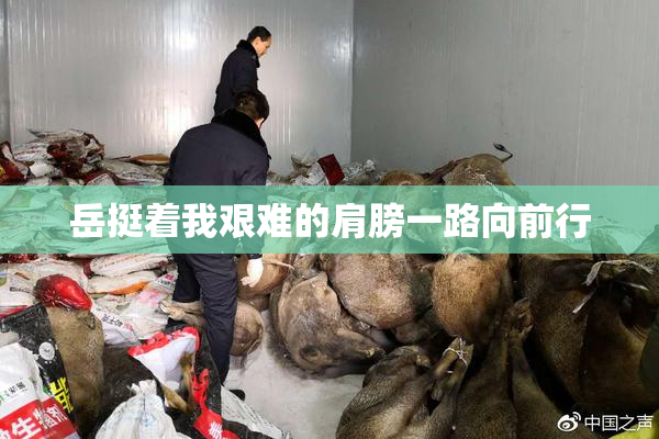 岳挺着我艰难的肩膀一路向前行
