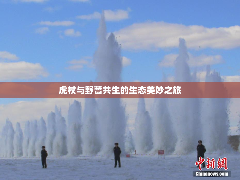 虎杖与野蔷共生的生态美妙之旅