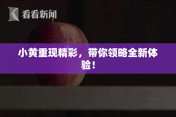 小黄重现精彩，带你领略全新体验！