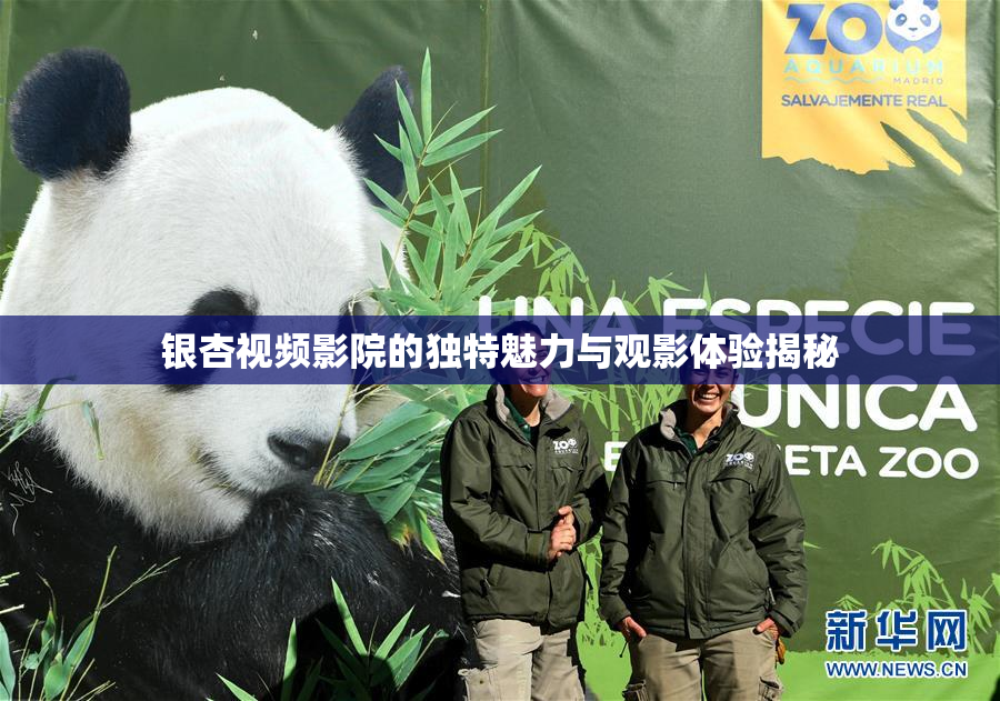 银杏视频影院的独特魅力与观影体验揭秘