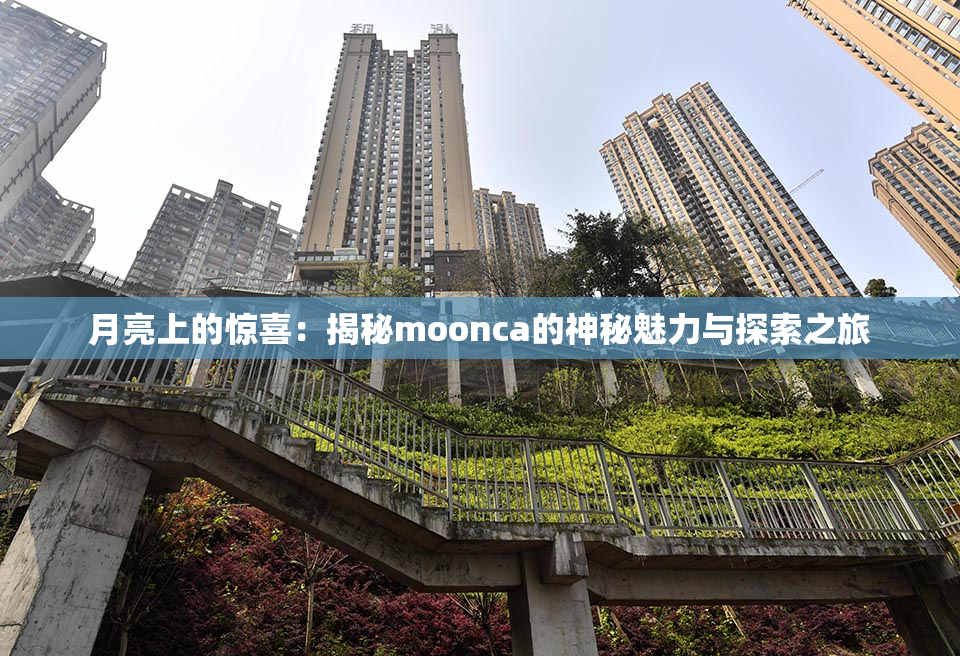 月亮上的惊喜：揭秘moonca的神秘魅力与探索之旅