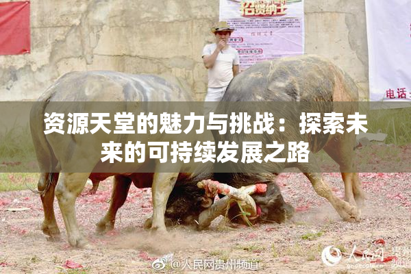 资源天堂的魅力与挑战：探索未来的可持续发展之路