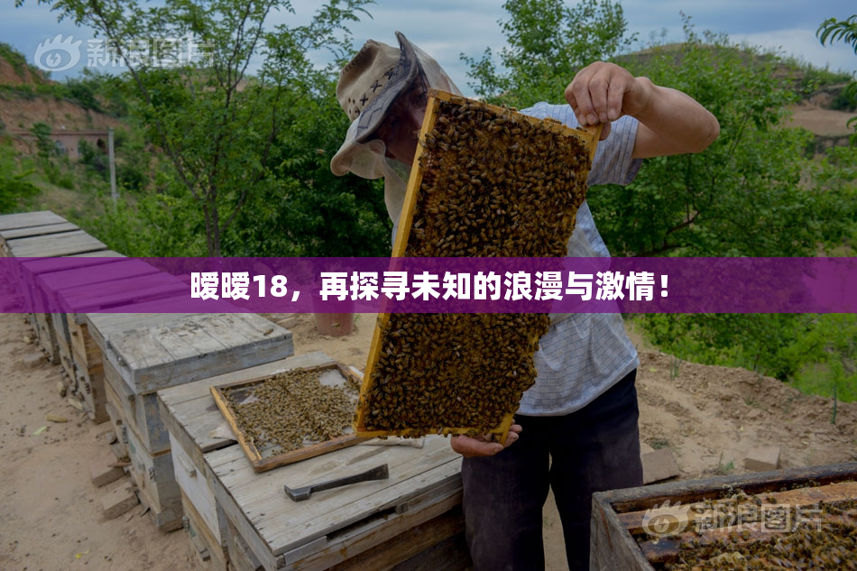 暧暧18，再探寻未知的浪漫与激情！
