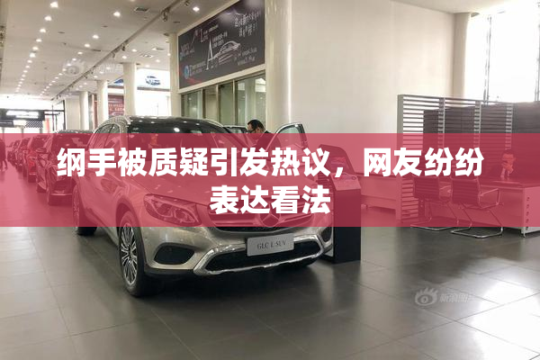 纲手被质疑引发热议，网友纷纷表达看法