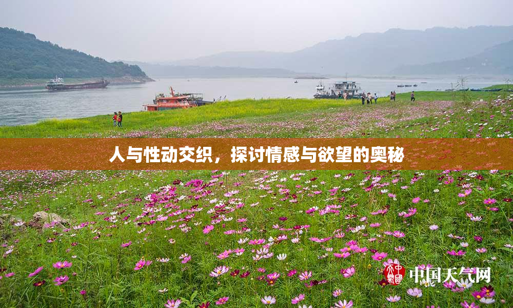 人与性动交织，探讨情感与欲望的奥秘