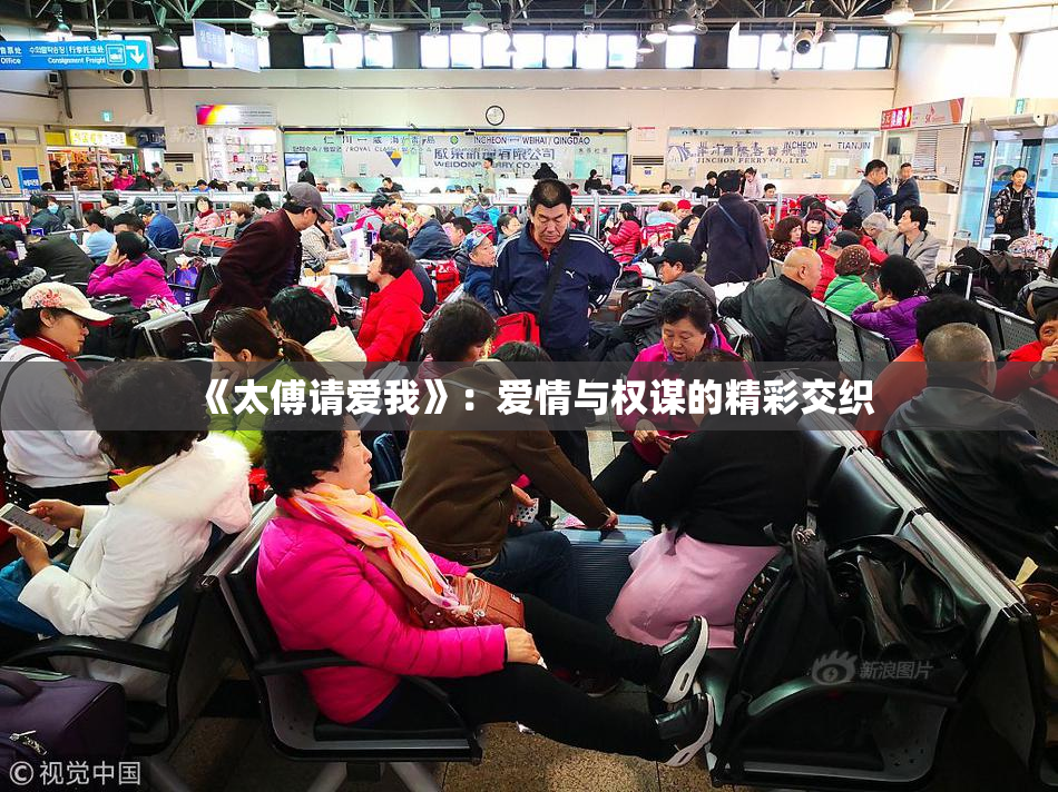 《太傅请爱我》：爱情与权谋的精彩交织