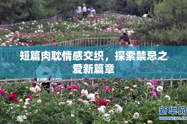 短篇肉耽情感交织，探索禁忌之爱新篇章