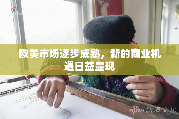 欧美市场逐步成熟，新的商业机遇日益显现
