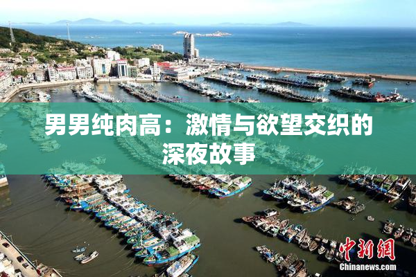 男男纯肉高：激情与欲望交织的深夜故事