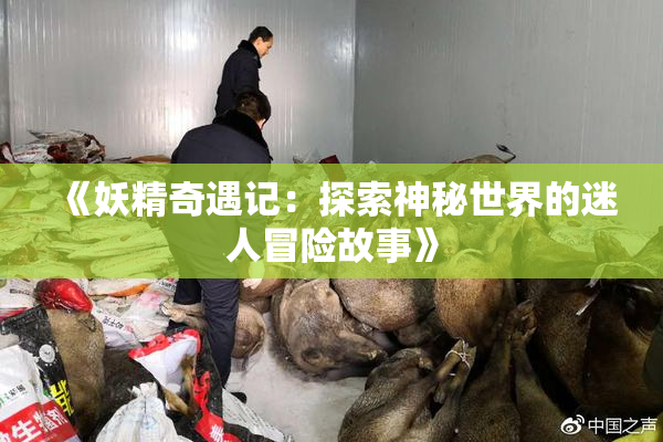 《妖精奇遇记：探索神秘世界的迷人冒险故事》
