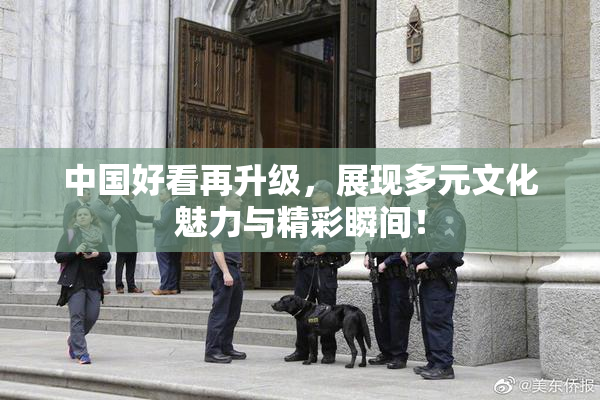 中国好看再升级，展现多元文化魅力与精彩瞬间！