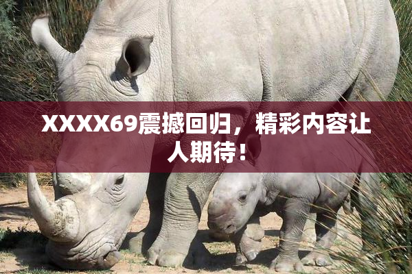XXXX69震撼回归，精彩内容让人期待！