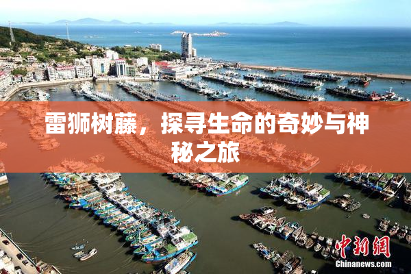 雷狮树藤，探寻生命的奇妙与神秘之旅
