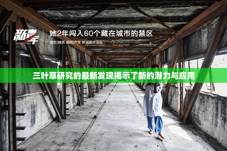 三叶草研究的最新发现揭示了新的潜力与应用