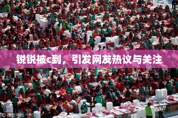 锐锐被c到，引发网友热议与关注