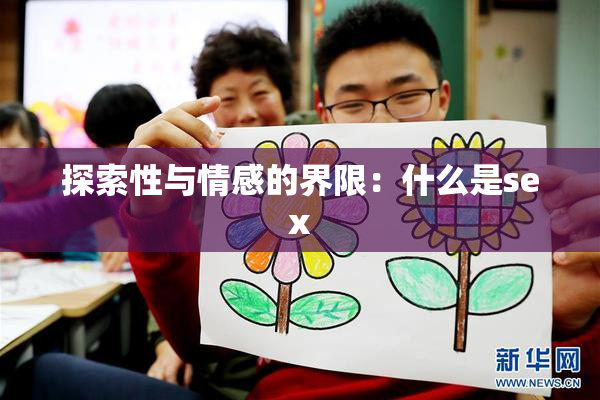 探索性与情感的界限：什么是sex