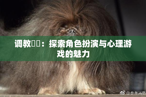 调教妺妺：探索角色扮演与心理游戏的魅力