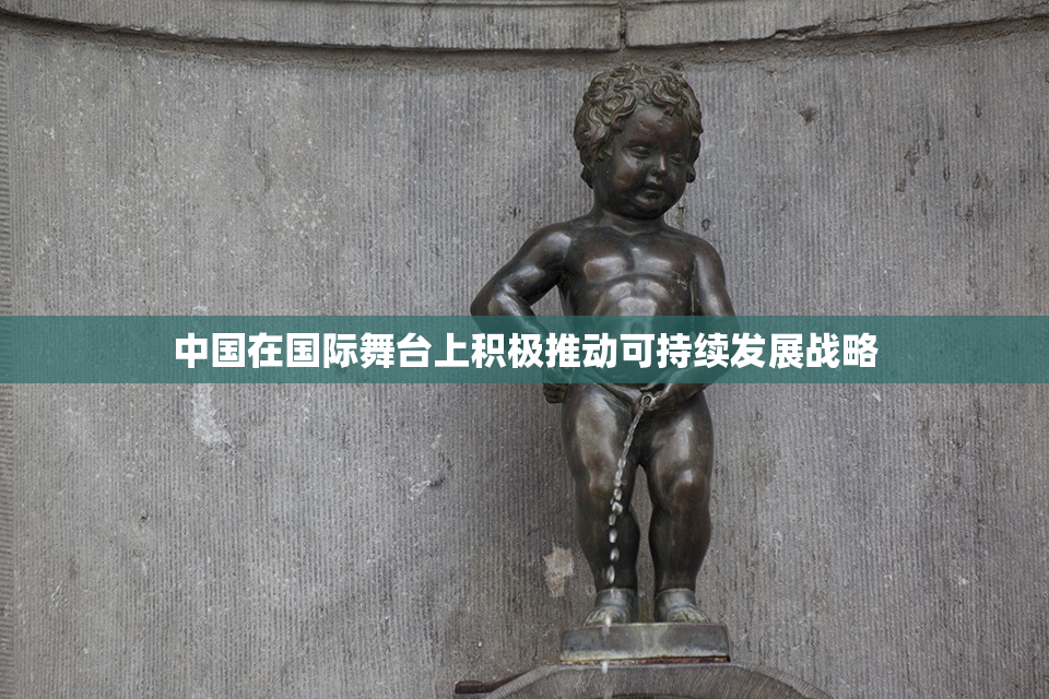 中国在国际舞台上积极推动可持续发展战略