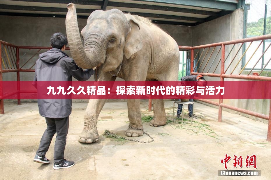 九九久久精品：探索新时代的精彩与活力