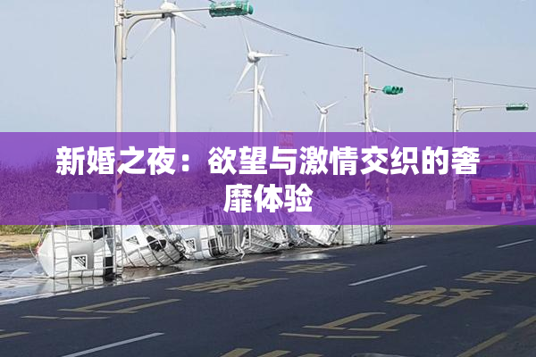 新婚之夜：欲望与激情交织的奢靡体验