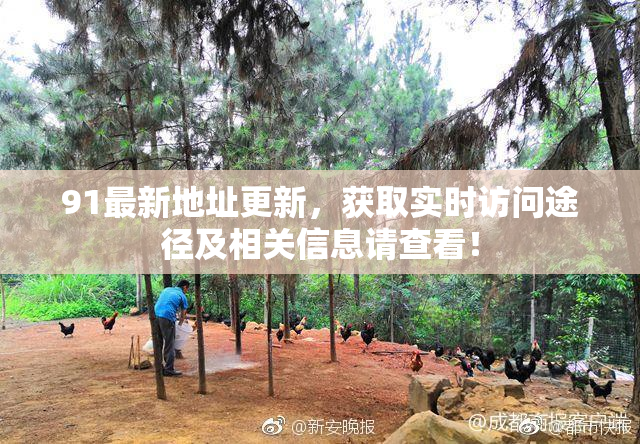 91最新地址更新，获取实时访问途径及相关信息请查看！