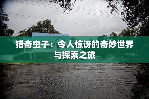 猎奇虫子：令人惊讶的奇妙世界与探索之旅
