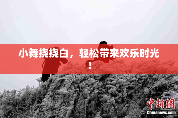 小舞挠挠白，轻松带来欢乐时光！
