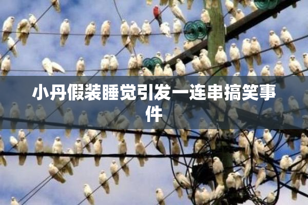 小丹假装睡觉引发一连串搞笑事件
