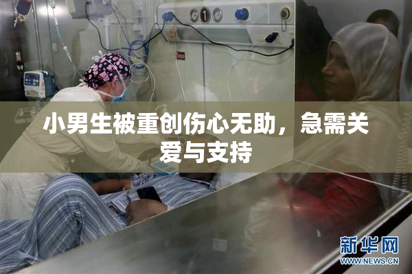 小男生被重创伤心无助，急需关爱与支持