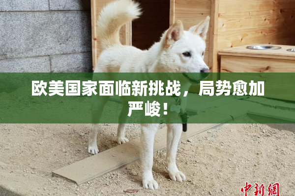 欧美国家面临新挑战，局势愈加严峻！