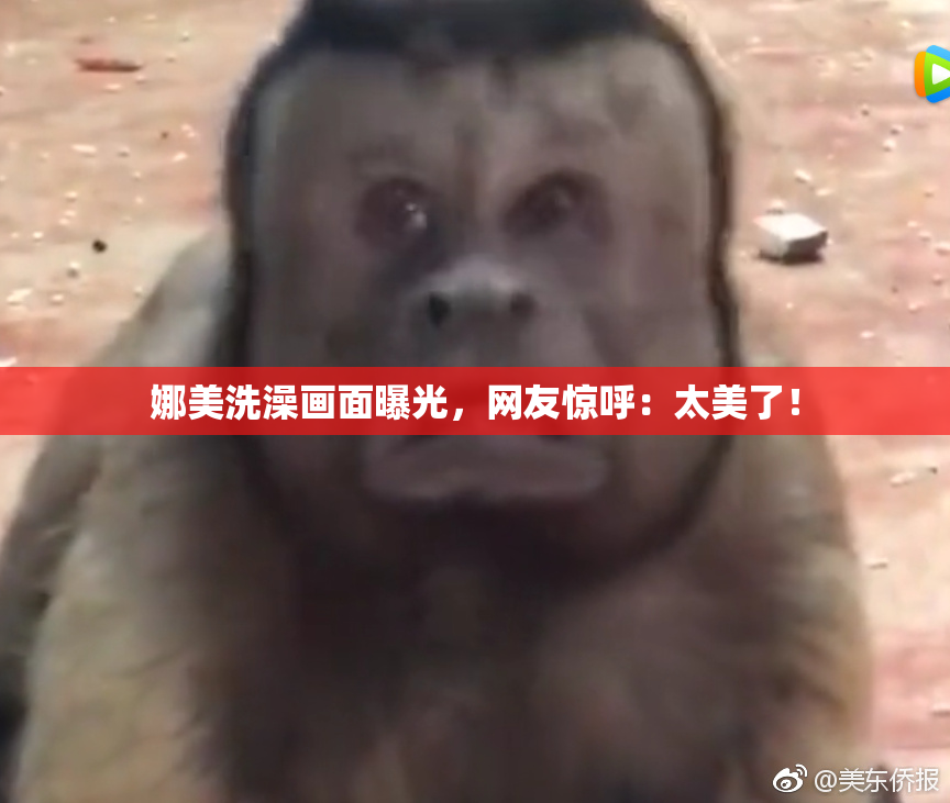 娜美洗澡画面曝光，网友惊呼：太美了！