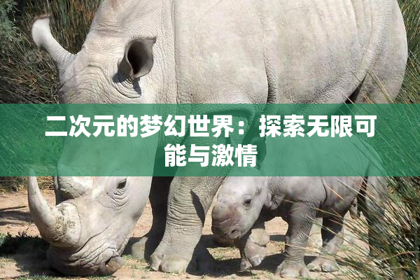二次元的梦幻世界：探索无限可能与激情