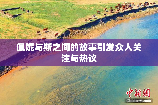 佩妮与斯之间的故事引发众人关注与热议