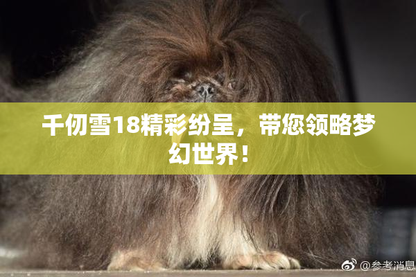 千仞雪18精彩纷呈，带您领略梦幻世界！