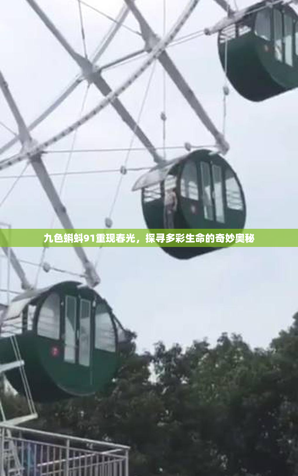 九色蝌蚪91重现春光，探寻多彩生命的奇妙奥秘