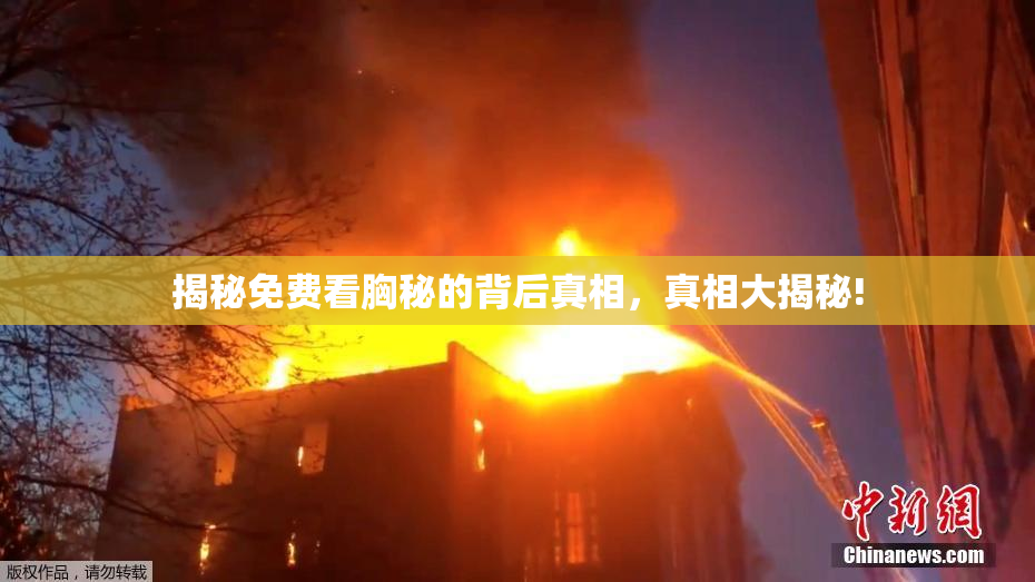 揭秘免费看胸秘的背后真相，真相大揭秘!