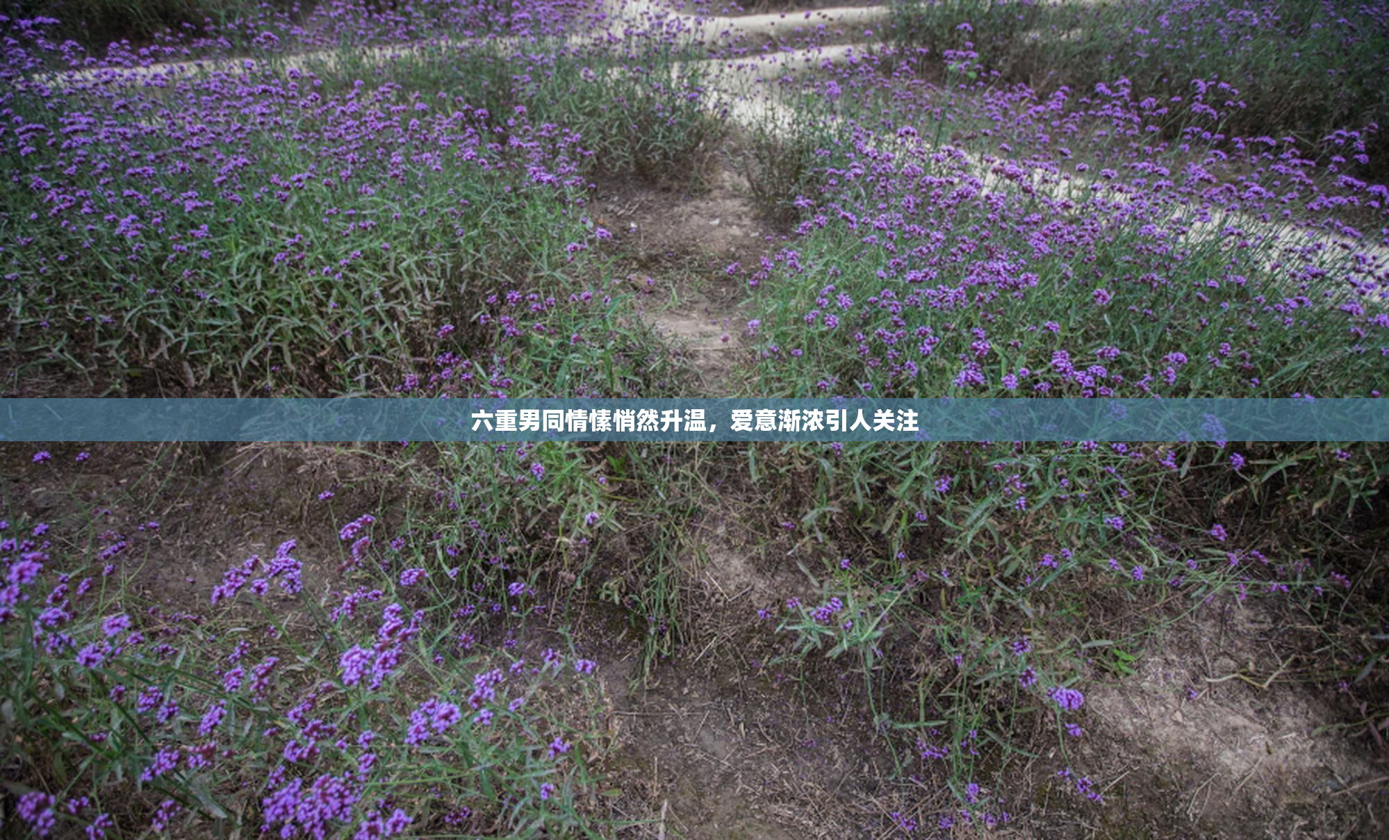 六重男同情愫悄然升温，爱意渐浓引人关注