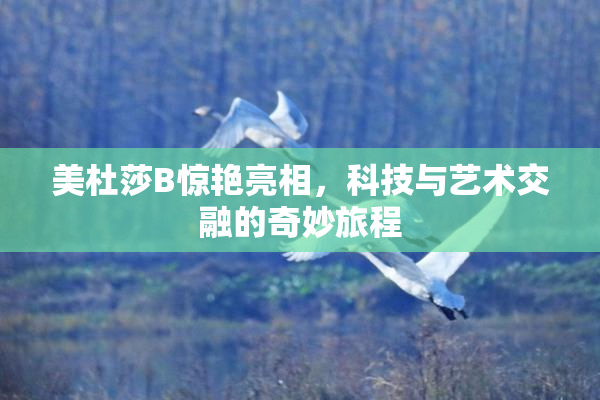 美杜莎B惊艳亮相，科技与艺术交融的奇妙旅程