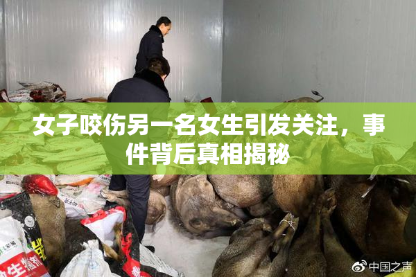 女子咬伤另一名女生引发关注，事件背后真相揭秘