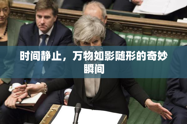 时间静止，万物如影随形的奇妙瞬间