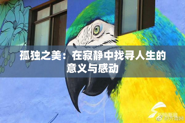 孤独之美：在寂静中找寻人生的意义与感动
