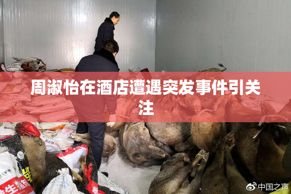 周淑怡在酒店遭遇突发事件引关注
