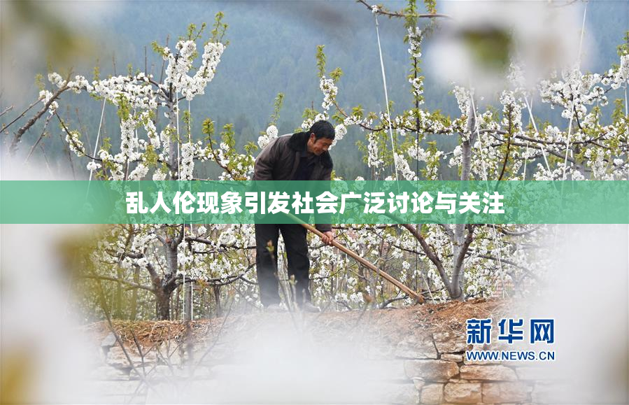 乱人伦现象引发社会广泛讨论与关注
