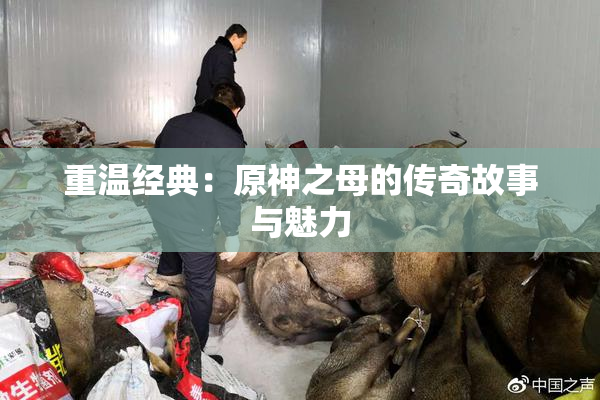 重温经典：原神之母的传奇故事与魅力
